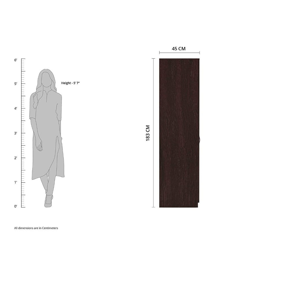 Dulex Medusa Engineered Wood Wardrobe Wenge Finish - Oak Inside